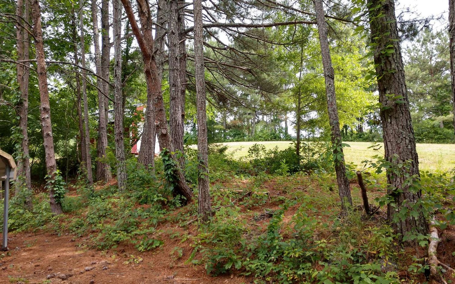 1775 Hwy 64 W, Hayesville, NC 28904